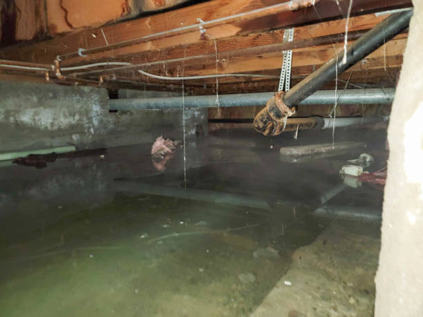 Best Water damage restoration cost  in Lakeside, FL