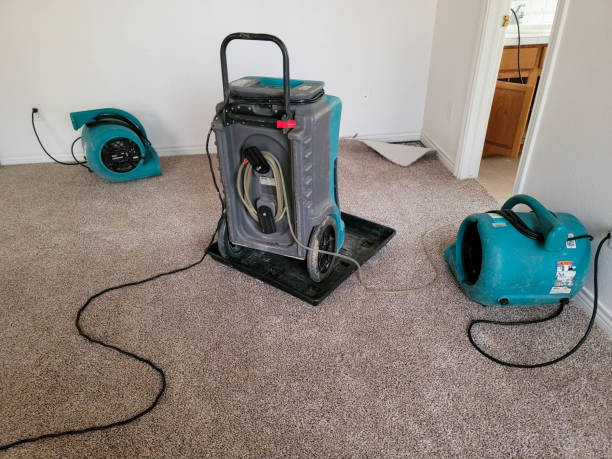 Best Professional water damage repair  in Lakeside, FL