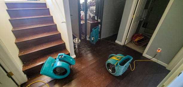 Best Mold removal after water damage  in Lakeside, FL