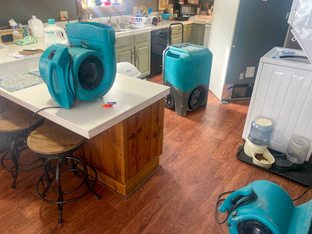 Water damage restoration mold remediation in FL
