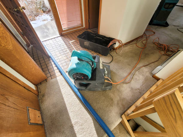 Best Sewage cleanup and water damage restoration  in Lakeside, FL