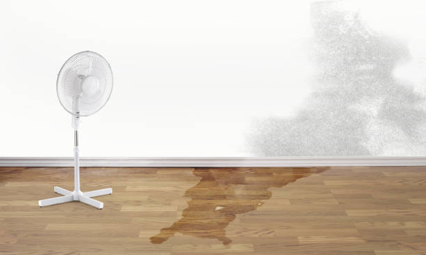 Best Water damage restoration process  in Lakeside, FL