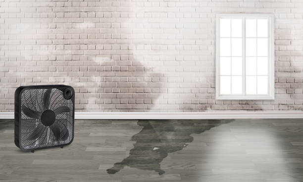 Best Water damage restoration mold remediation  in Lakeside, FL