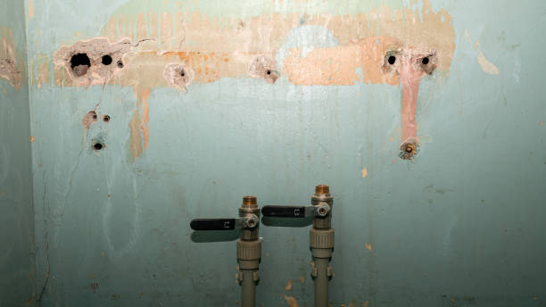 Best Ceiling water damage repair  in Lakeside, FL