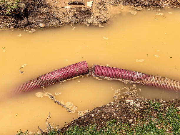 Best Carpet water damage restoration  in Lakeside, FL