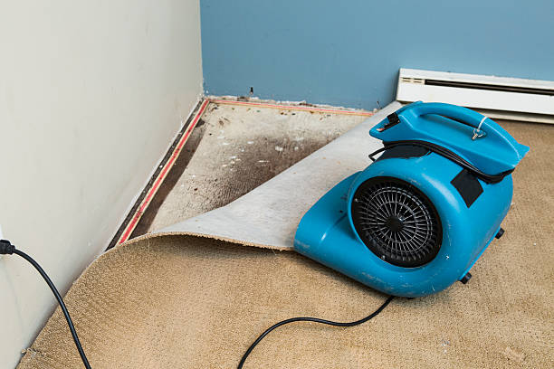 Best Flooded house restoration  in Lakeside, FL